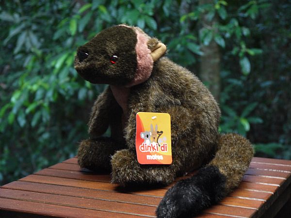 tree kangaroo stuffed animal