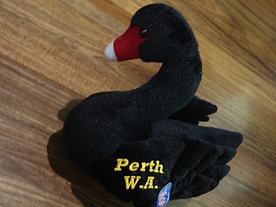 30CM-BLACK-SWAN-WITH-EMBROIDERY-SOFT-TOY