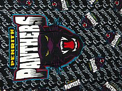 OFFICIAL-NRL-PENRITH-PANTHERS-BEACH-TOWEL