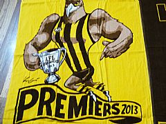 HAWTHORN-HAWKS-AFL-PREMIERSHIP-2013-TOWEL-CA-AUSTRALIA