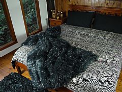 ZEBRA-BEDSPREAD-THROW-QUILT-180-CM-X-250-CM-JACQUARD-BLACK-VELVET-BACK-SPECIAL